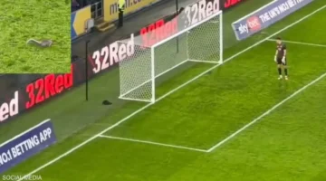 موقف غير متوقع توقف مباراة كرة قدم إنجليزية بسبب سنجاب مرتين